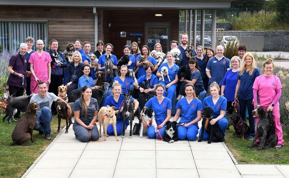 24/7 Pet Hospital – New series starting 6th February on BBC One